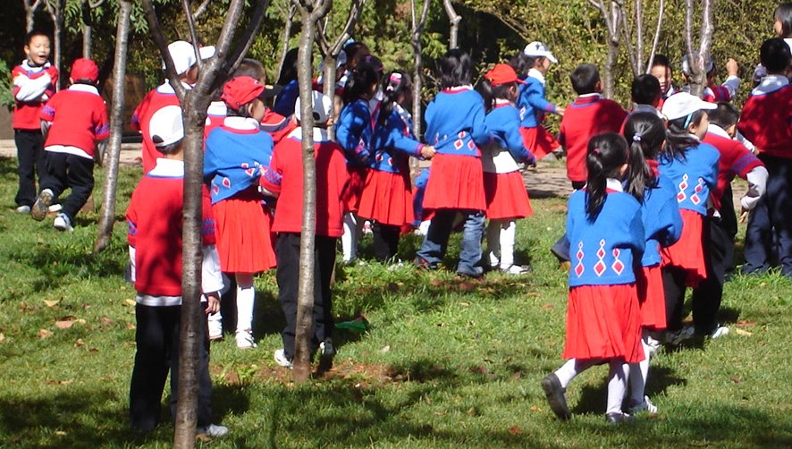 Chinese Schoolchildren