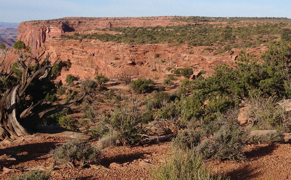 Dead Horse Point on " Island in the Sky "