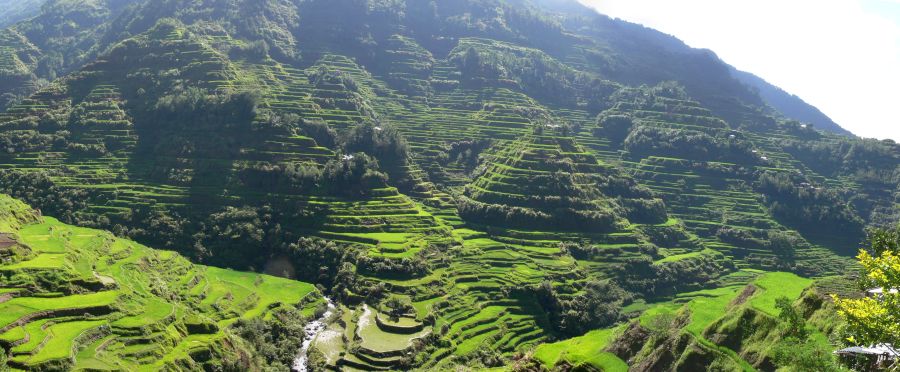 Rice terraces at Banaue in the Philippines