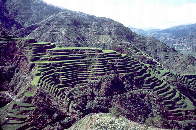 Rice terraces at Banaue in the Philippines