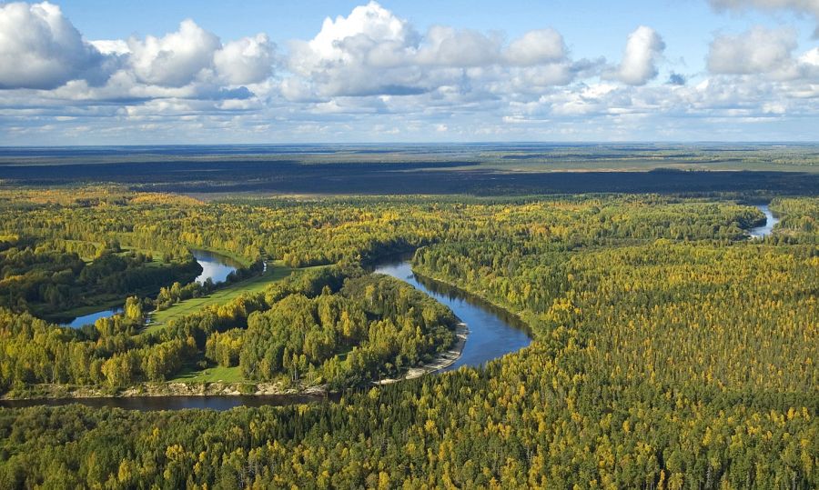 Vasyugan in Siberia in Russia