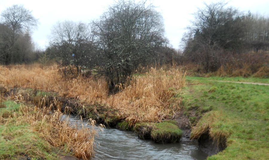 Burn through the Craigdhu Wedge