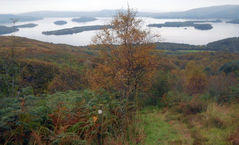 Islands in Loch Lomond from Cashel Forest