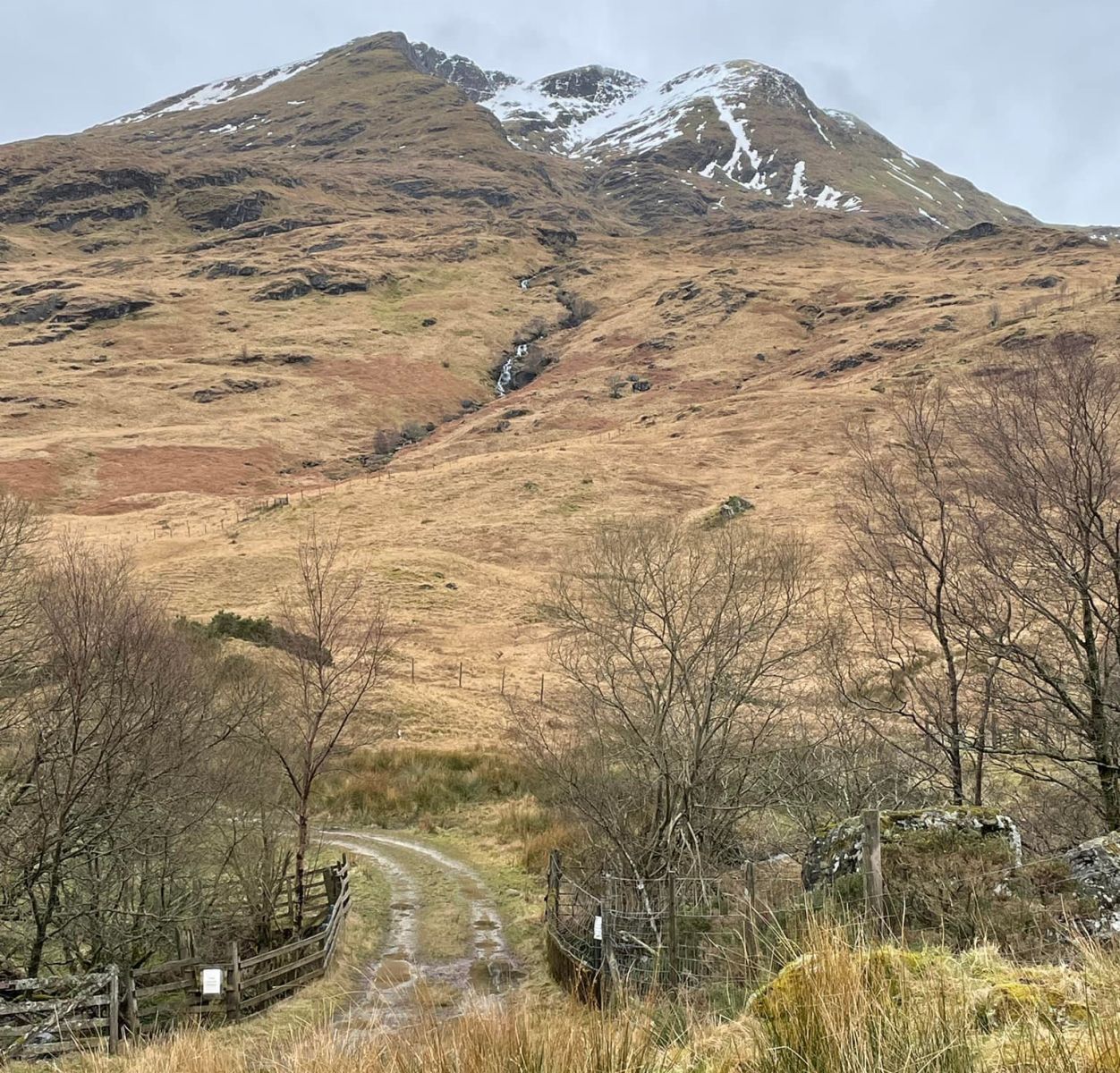 Ben Lomond above Comer