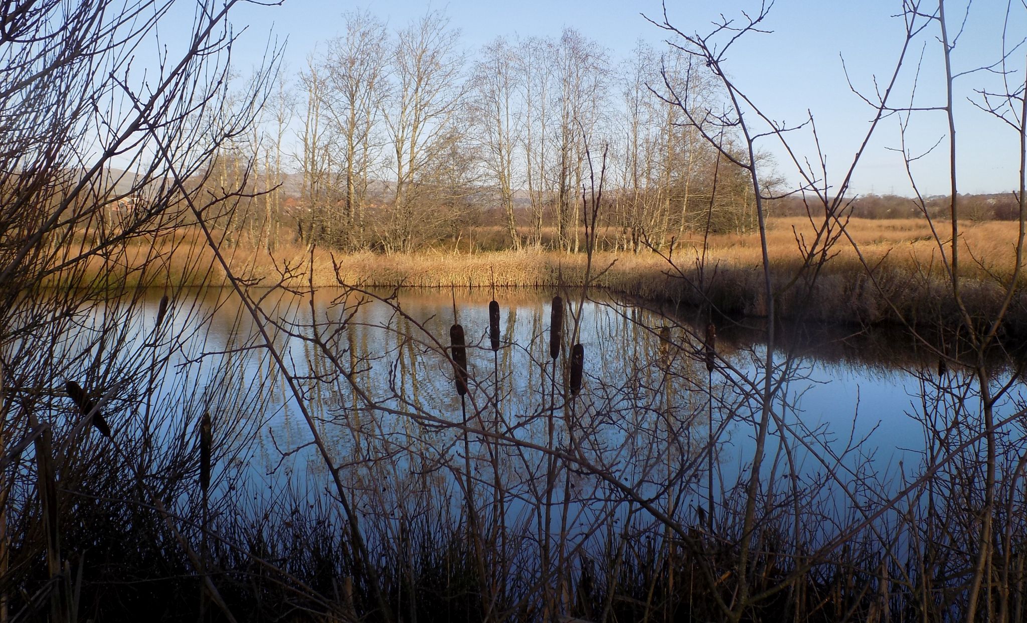 Broadwood Loch at Cumbernauld