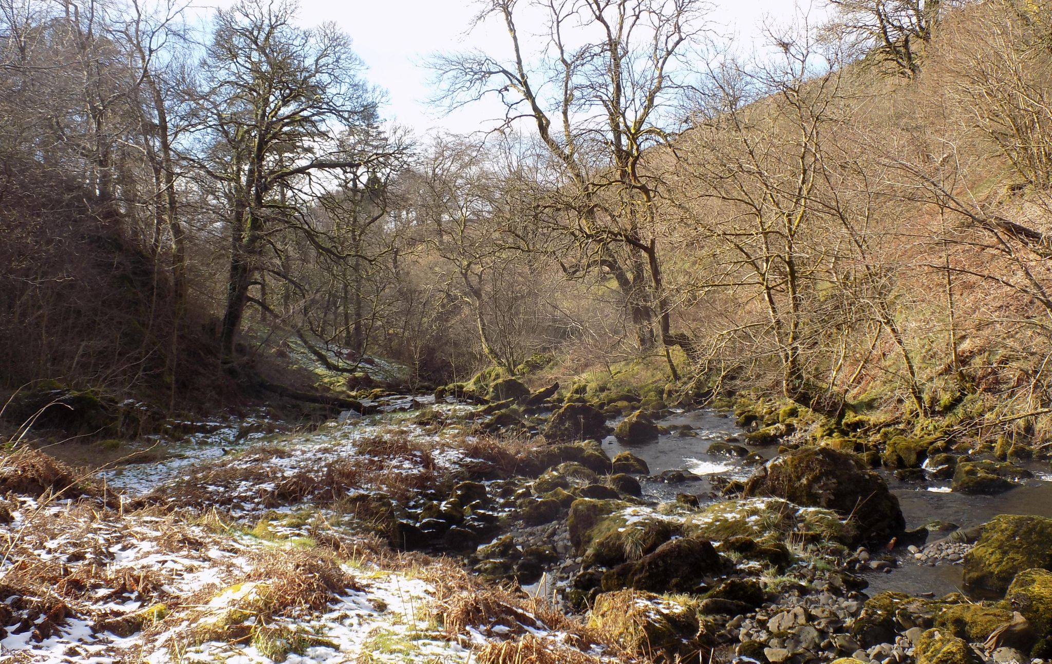 Kirk Burn in Campsie Glen