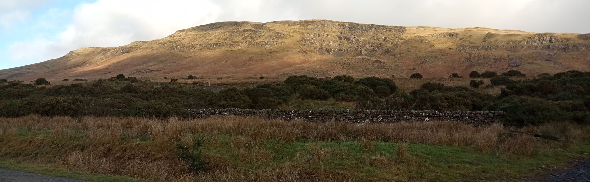 Campsie Fells above Blanefield