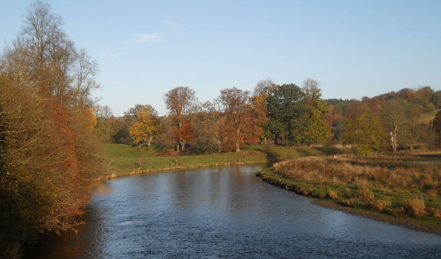 River Clyde from Mauldslie Bridge