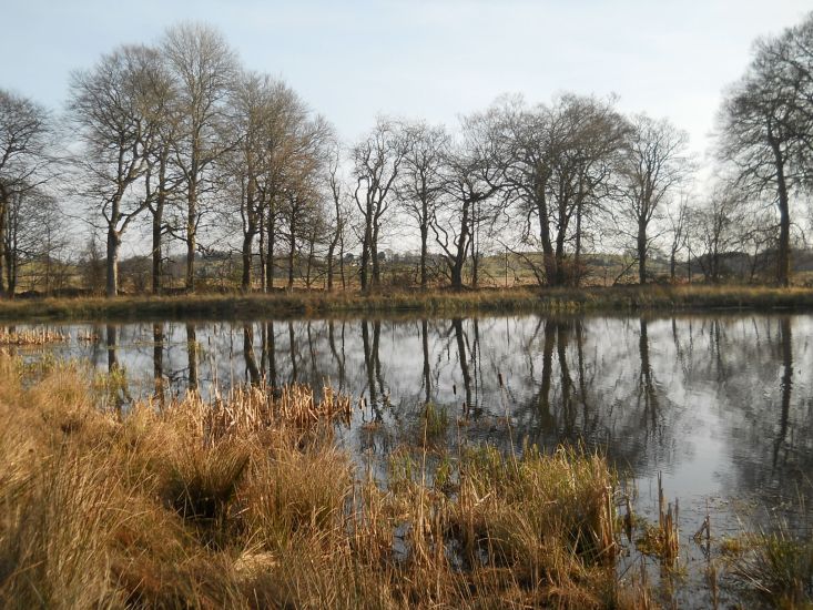 Ladies Pond on Dougalston Estate