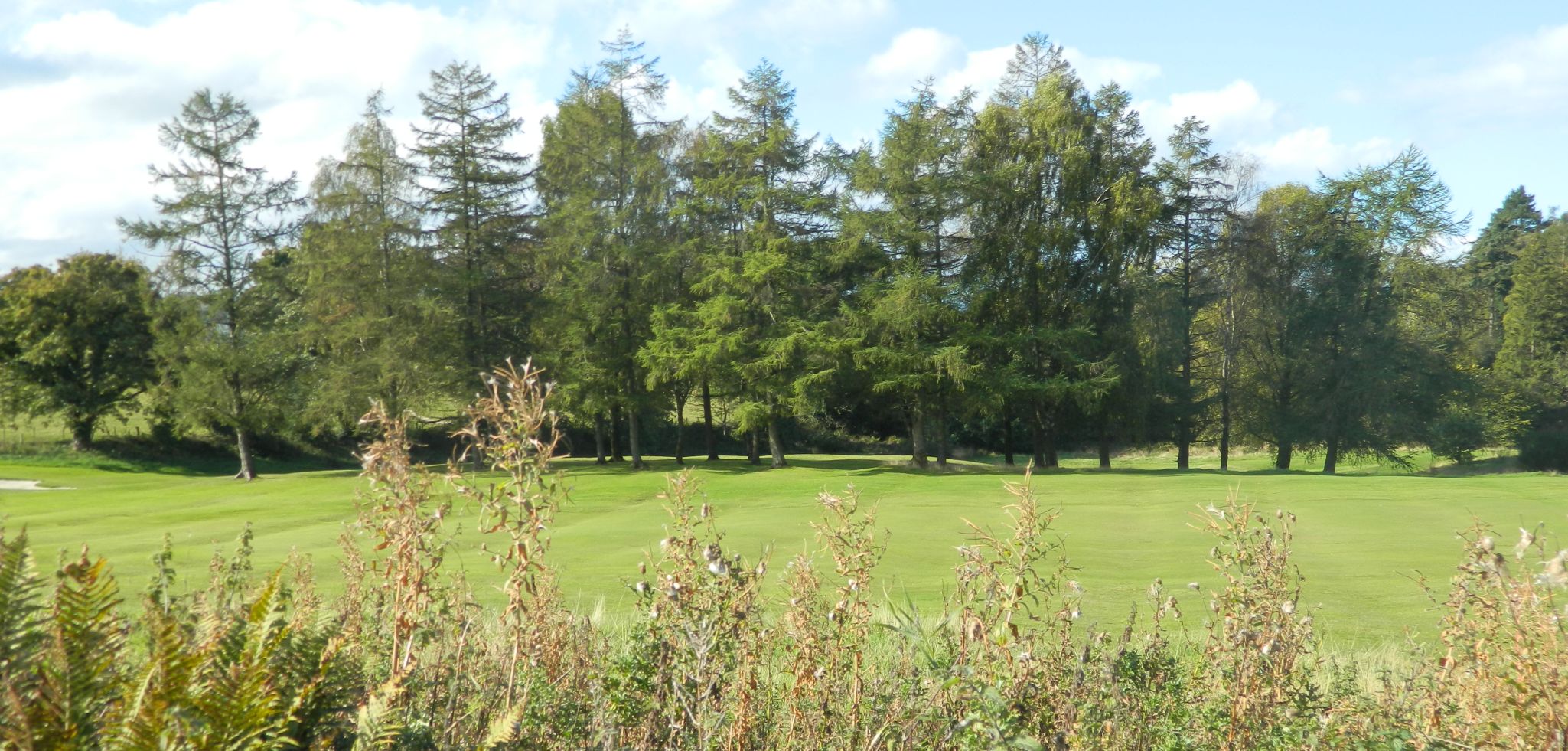 Cardross golf course from Carman Road