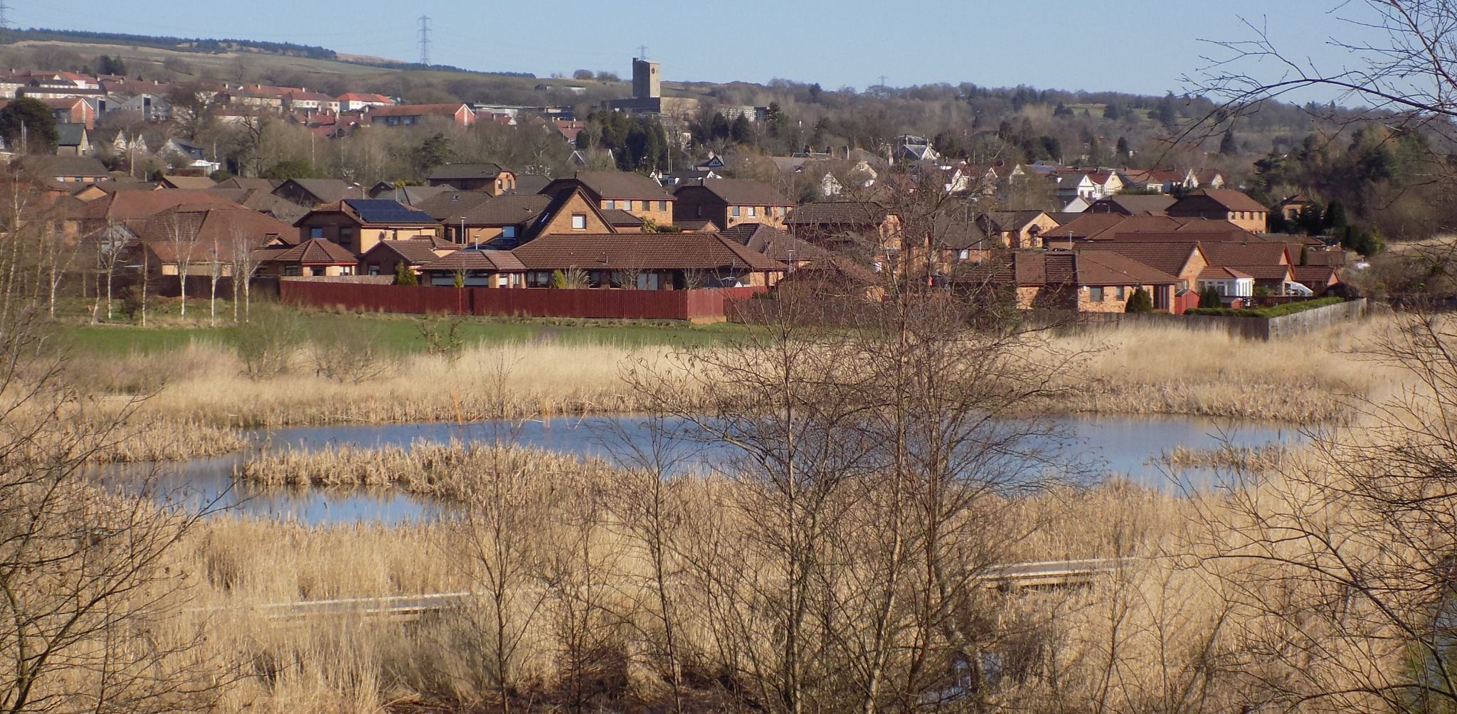 Kilsyth beyond Dumbreck Marsh