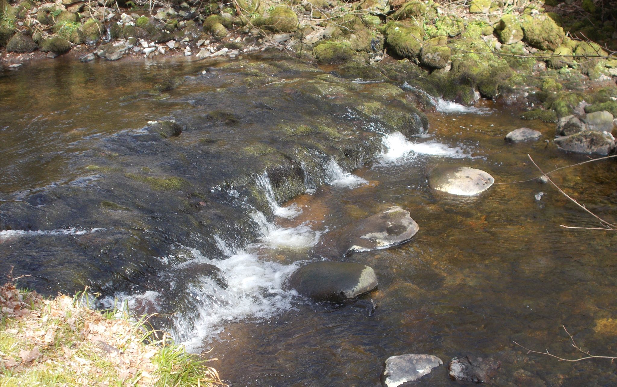 Finglen Burn