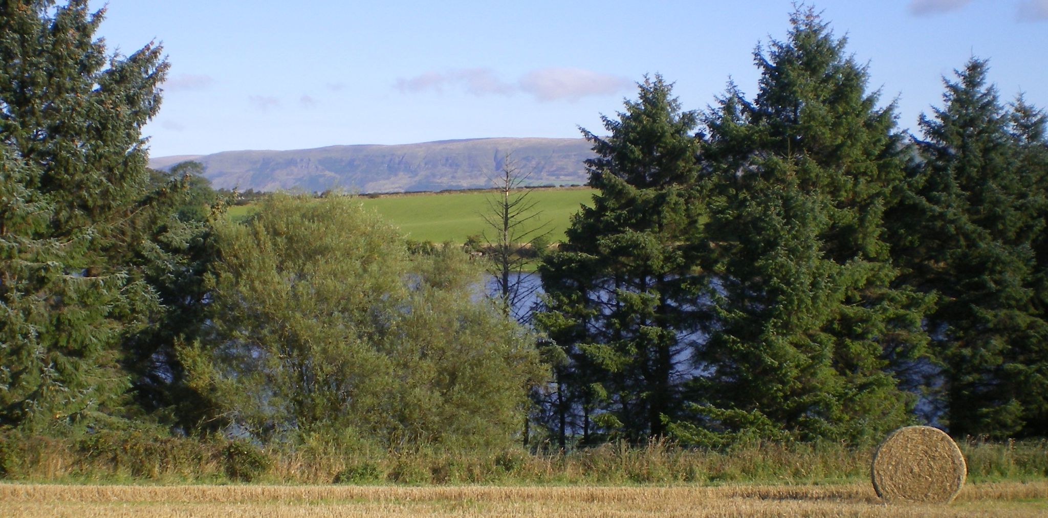 Campsie Fells beyond Gadloch