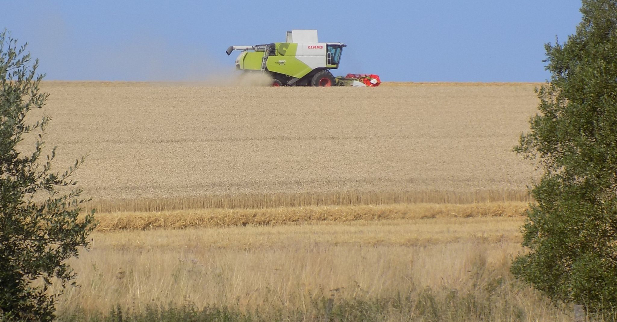 Grain fields from Possil Marsh Wildlife Reserve