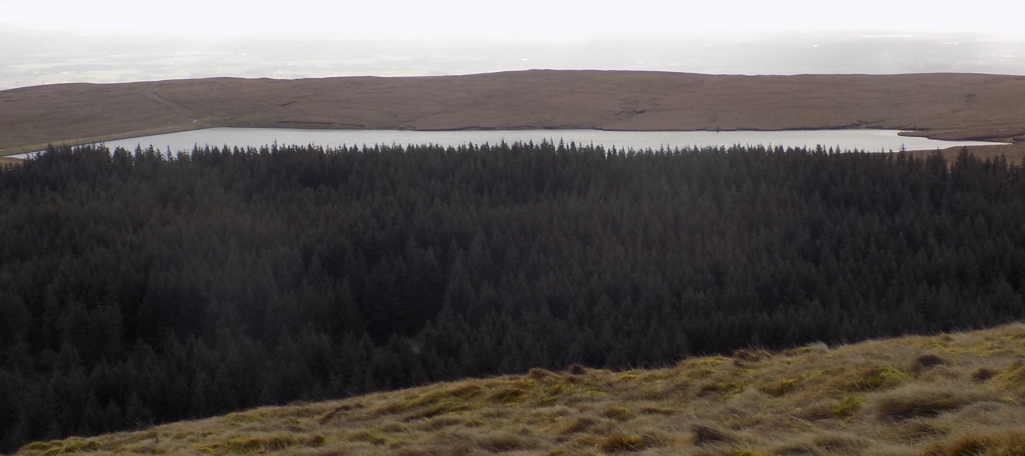 Birkenburn Reservoir on descent from Meikle Bin