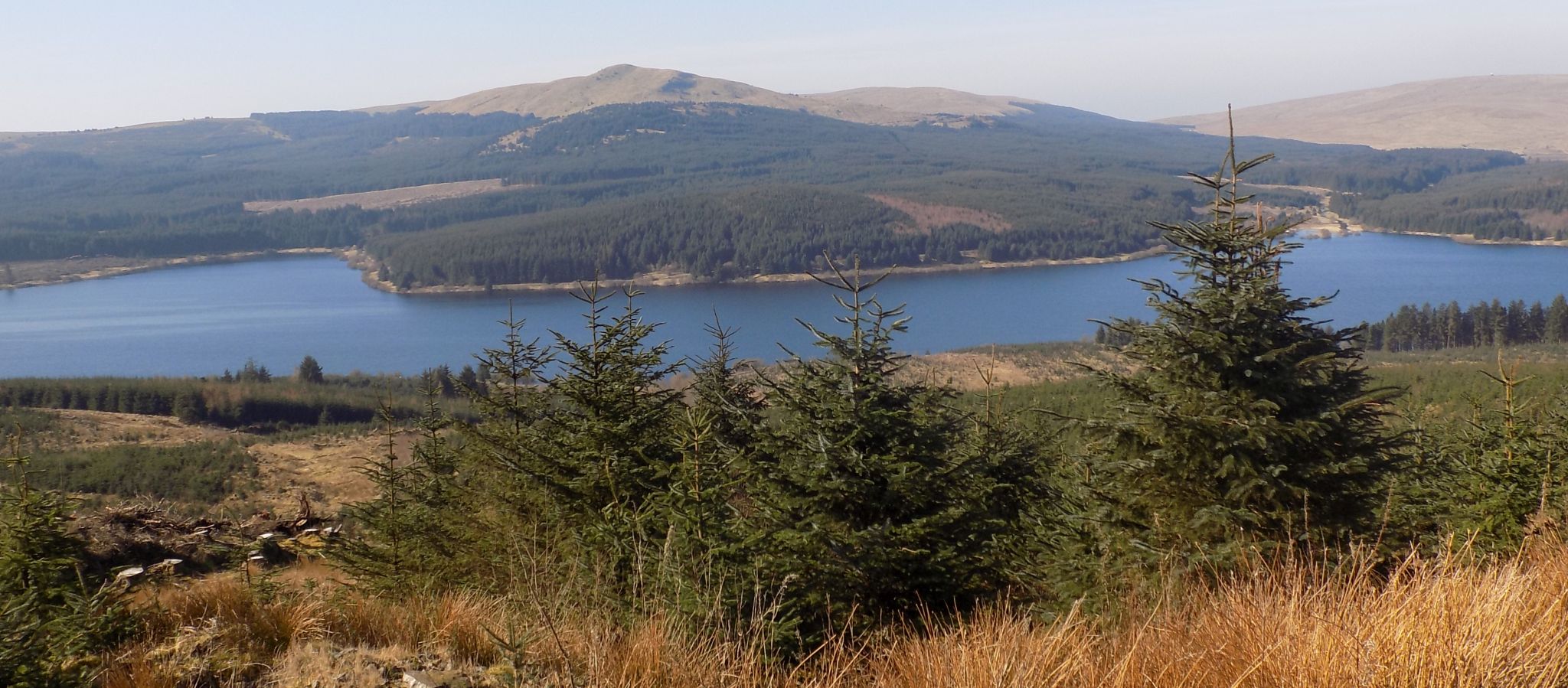 Meikle Bin in the Campsie Fells above Carron Valley Reservoir