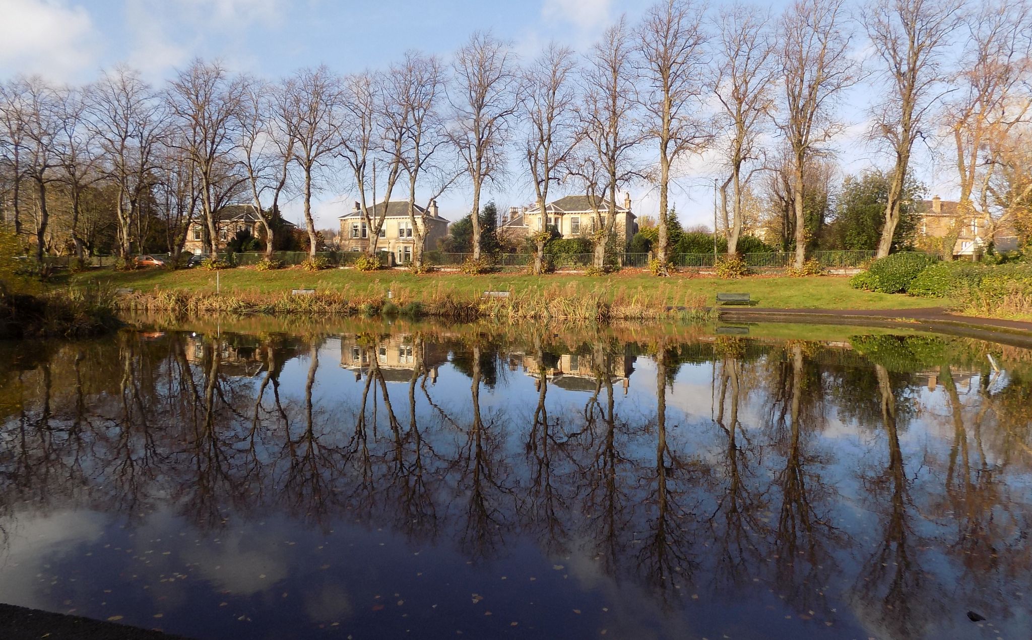 Houses in St.Andrews Drive from Maxwell Park