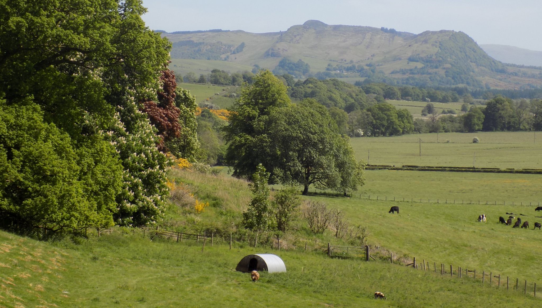 View from gardens of Gartmore House