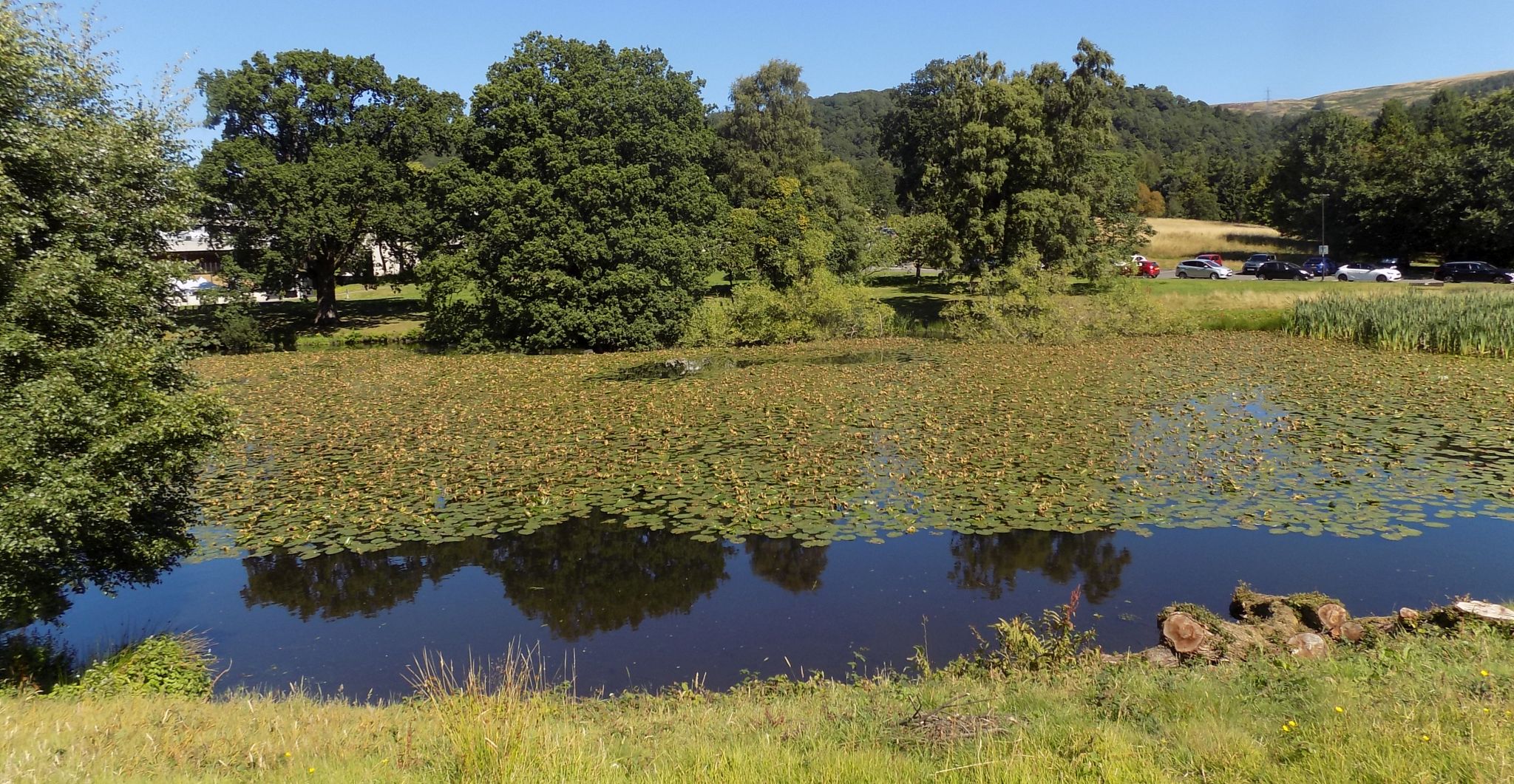 Lake in campus of Stirling University