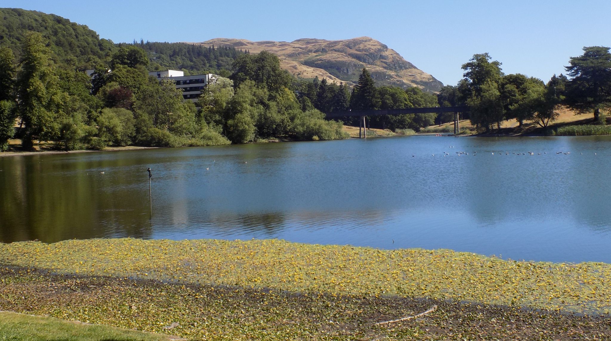 Dumyat from campus of Stirling University