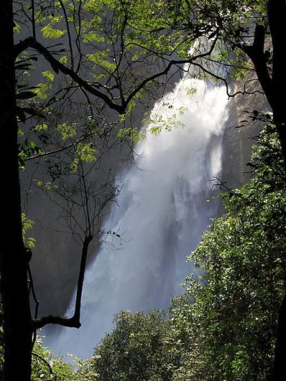 Dunhinda Falls in the Hill Country of Sri Lanka