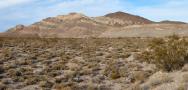 Rhyolite_Amargosa_desert.jpg