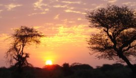 On Safari in Tanzania