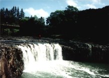 Haruru Falls on the Waitangi River in the North Island of New Zealand